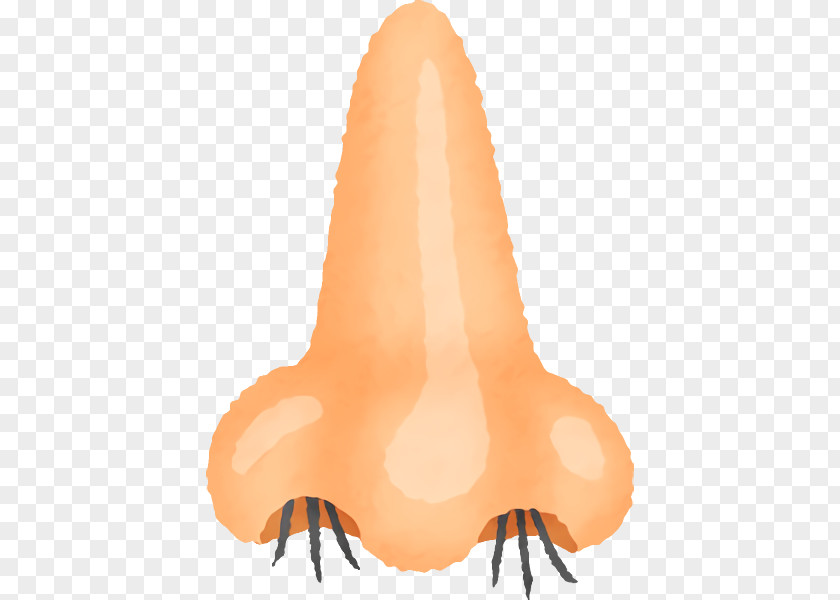 Orange PNG