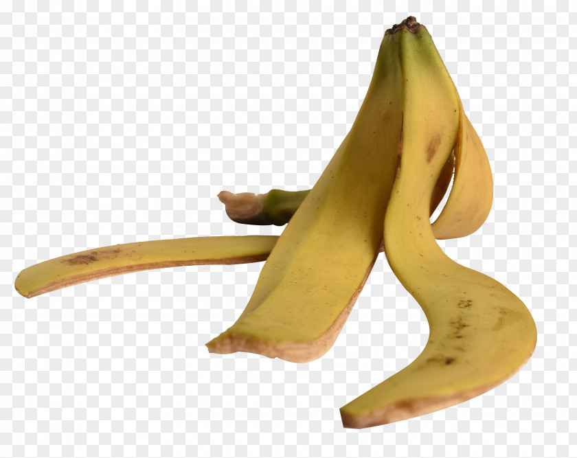 Peeled Banana Peel Fruit PNG