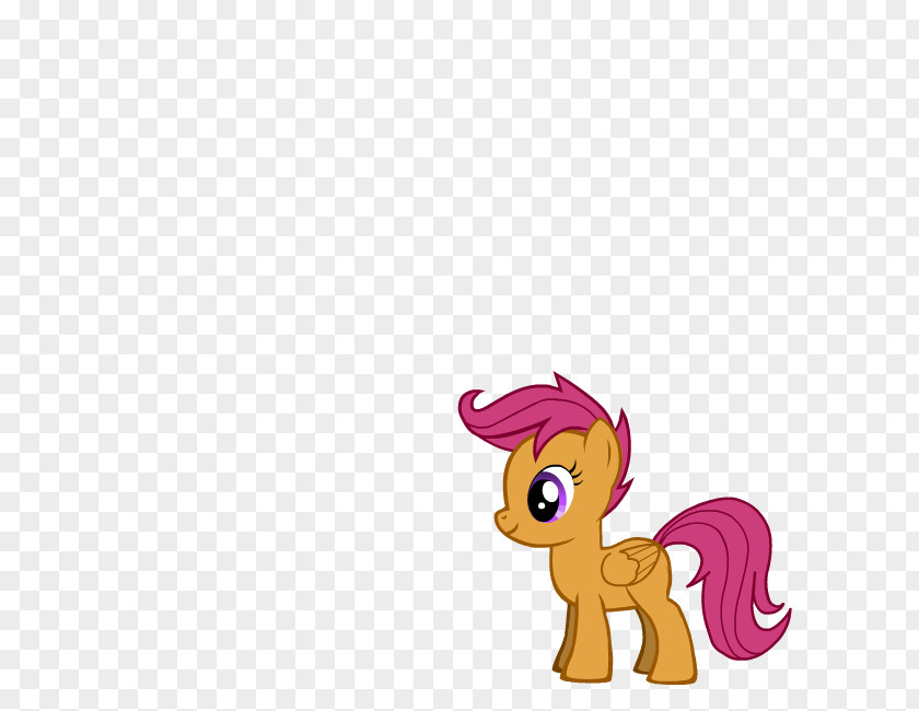 Pony Scootaloo Rainbow Dash Sweetie Belle Apple Bloom PNG