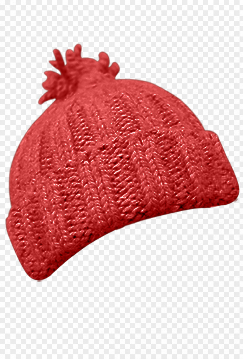 Warm Autumn And Winter Knitted Hat Wool Knitting PNG