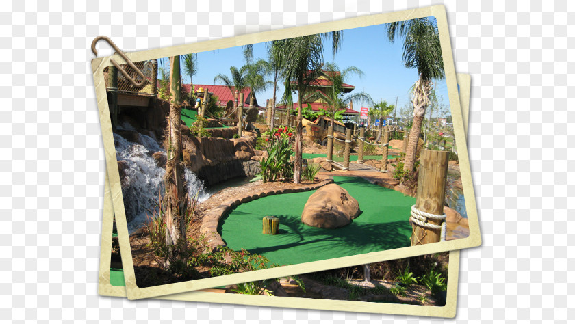 Congo River Golf Tampa Miniature Course PNG