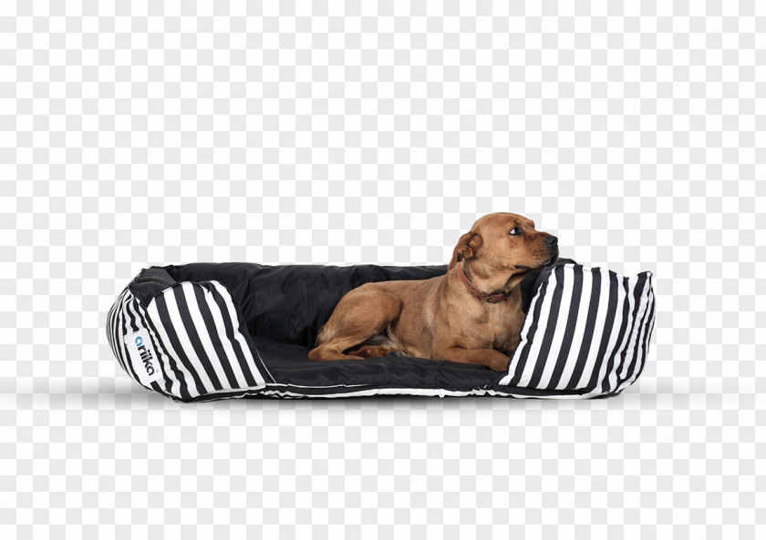 Dog Breed Bed Pillow Furniture PNG