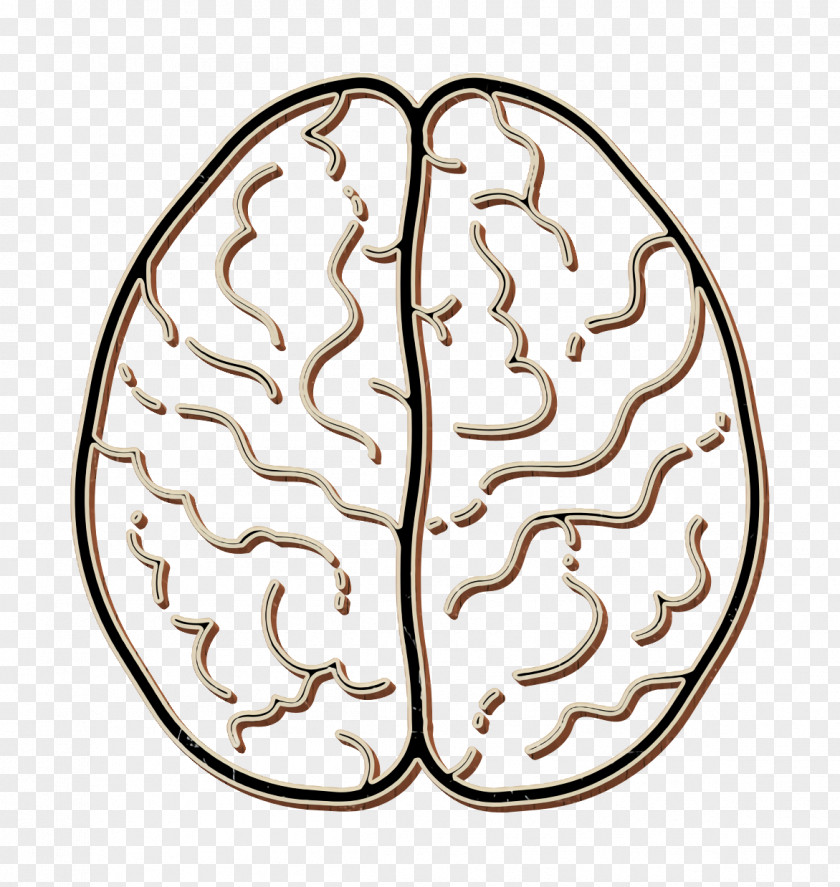 Human Anatomy Icon Brain PNG