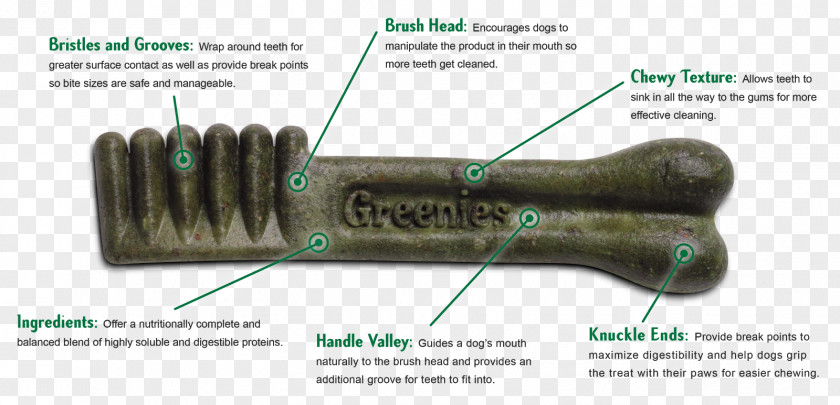 Inforgraphic Dog Dentistry PNG