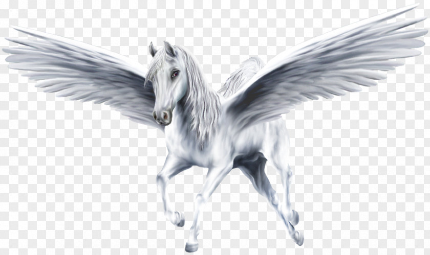 Pegasus PNG clipart PNG