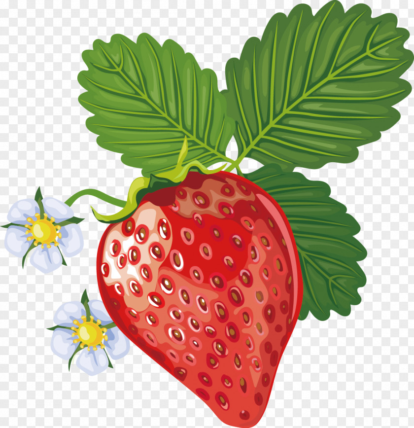 Strawberry Decorative Design Vector Accessory Fruit Aedmaasikas PNG