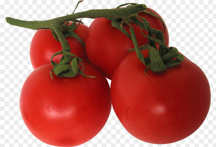 Tomato Vegetable Desktop Wallpaper PNG