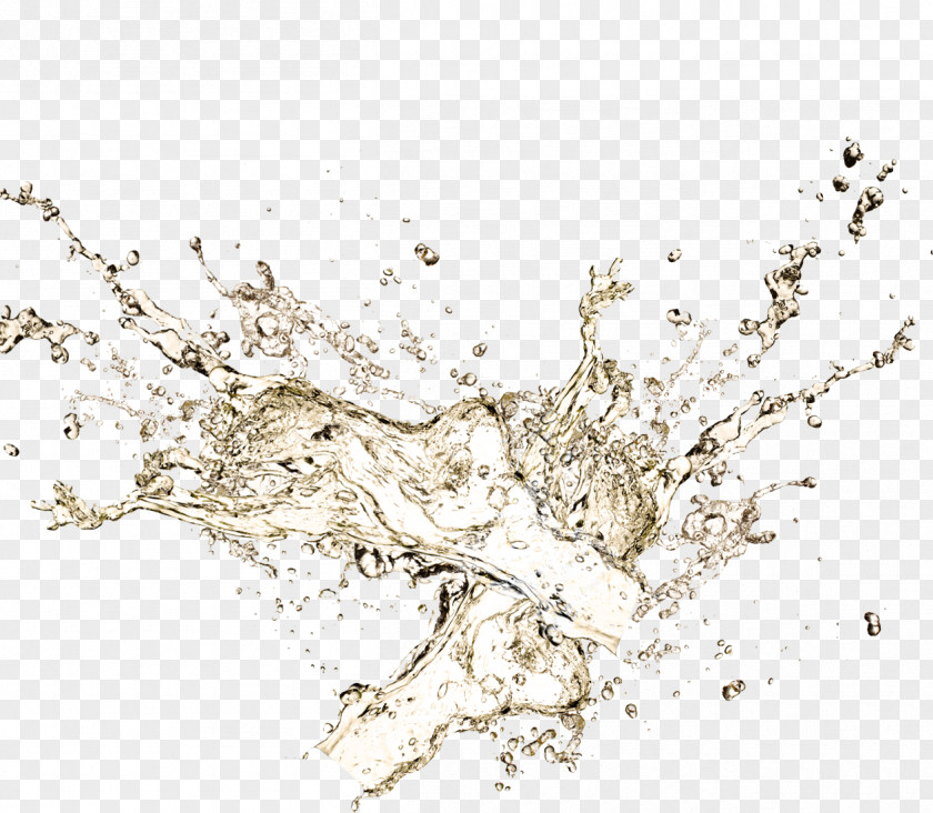 Water, Water Effects, Taobao Material, Champagne Domaine Chandon California Sparkling Wine Chardonnay PNG