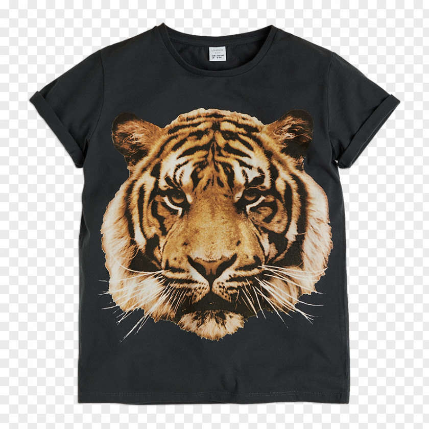 Beauty Compassionate Printing Baby Tigers Symbol Bengal Tiger Attack South China PNG