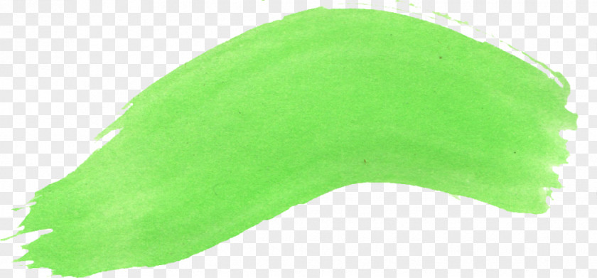 Leaf Green PNG