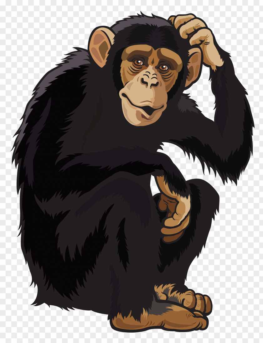 Monkey Clipart Image Chimpanzee Ape Clip Art PNG