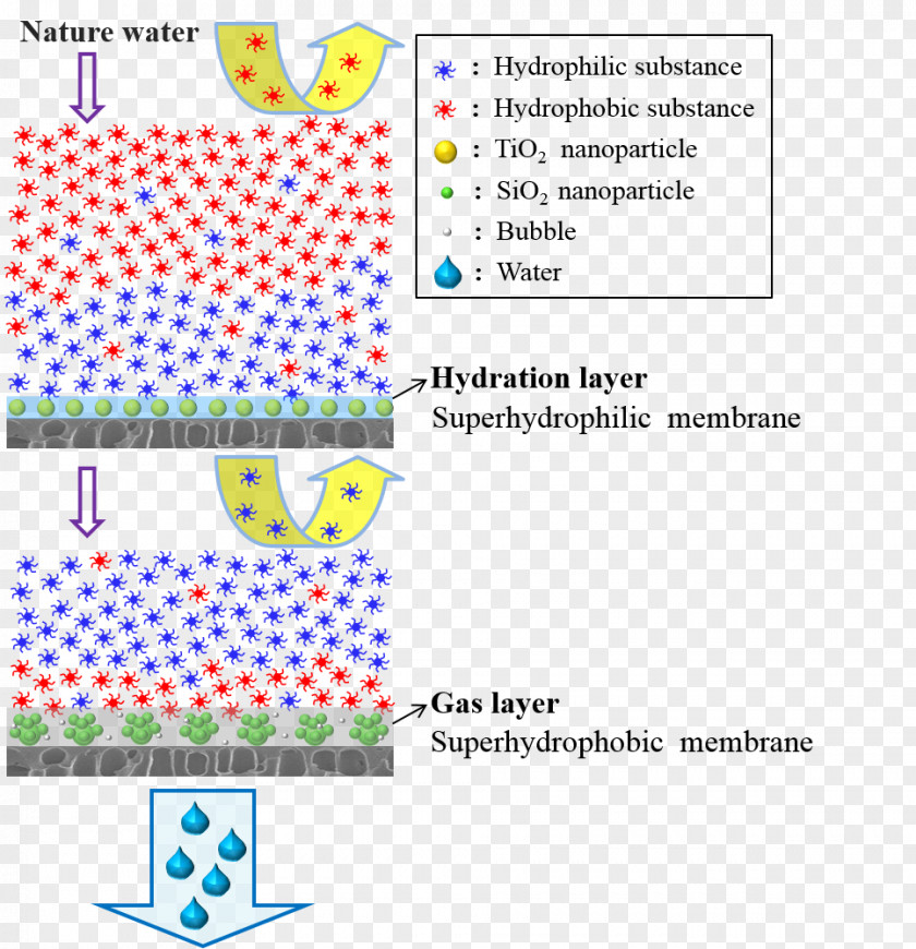 Organic Matter Nanofiltration Superhydrophilicity Hydrophile Membrane PNG