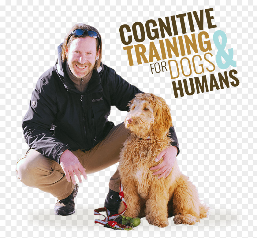 Puppy Dog Breed Companion Training PNG
