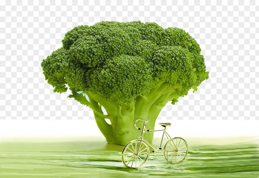 Broccoli And Bicycles Air Pollution Inflammation Dietary Supplement Raw Foodism Health PNG