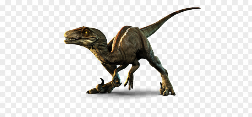 Carnivores: Dinosaur Hunter Primal Carnage: Extinction Velociraptor Brachiosaurus PNG