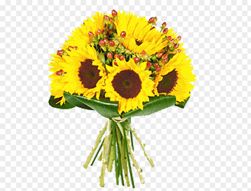 Fiori E PianteSunflower Bouquet Flower Common Sunflower Birthday Scheda Duplicata Vedi Ugo Pellecchia PNG