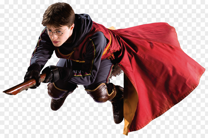 Harry Potter Potter: Quidditch World Cup Ginny Weasley And The Philosopher's Stone Ron PNG