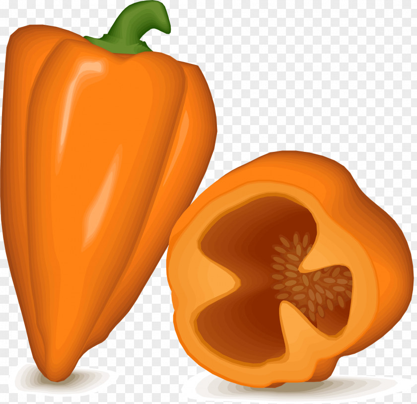 Orange Fruit Habanero Chili Pepper Bell Clip Art PNG