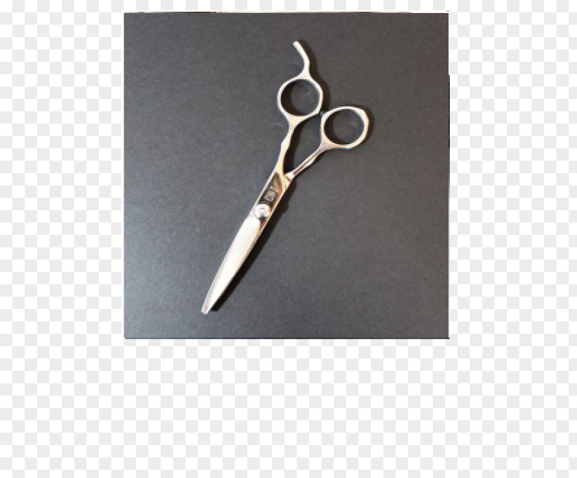 Pets Nail Scissors Clippers Dog Hair Clipper Blade PNG