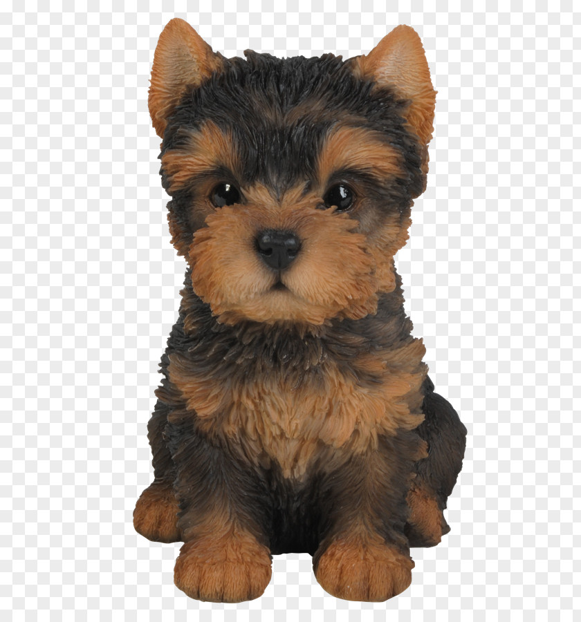Puppy Yorkshire Terrier Pug Ornament PNG