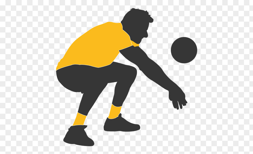 Volleyball Vector PNG