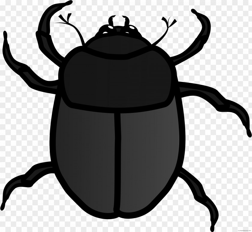 Beetle Clip Art Openclipart Illustration Free Content PNG