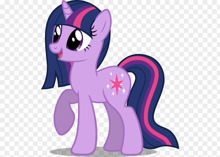 My Little Pony Twilight Sparkle Pinkie Pie Fluttershy Rarity PNG