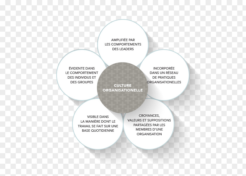 OBJECTIF Brand Organization Diagram PNG