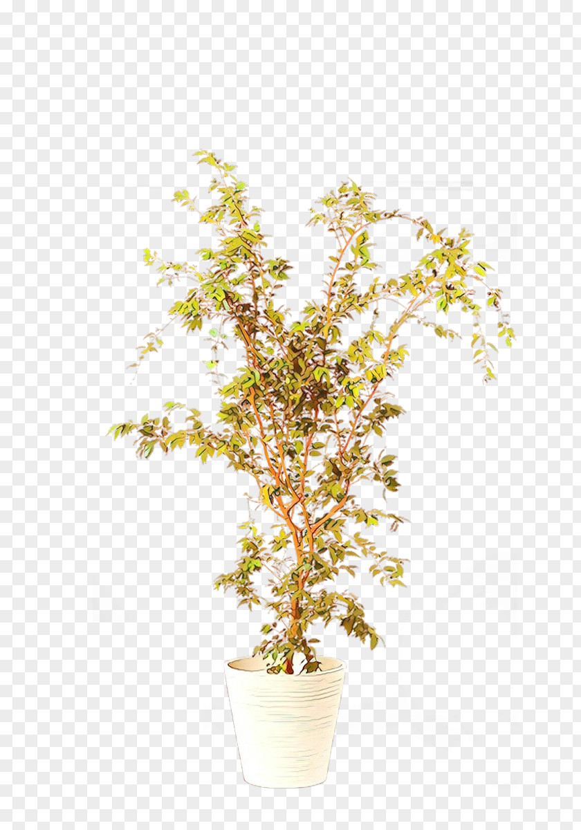 Tree Flower Plant Yellow Branch PNG