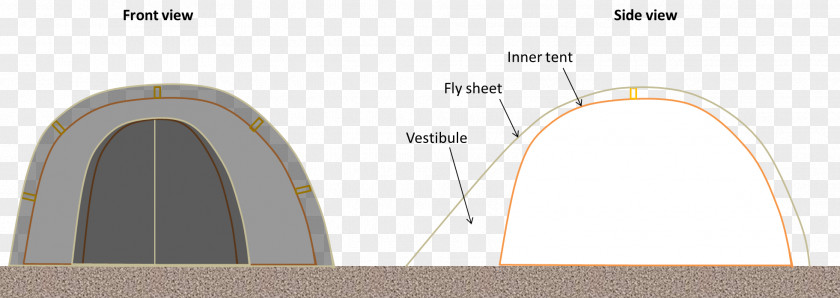 Tropical Forest Brand Line Angle PNG