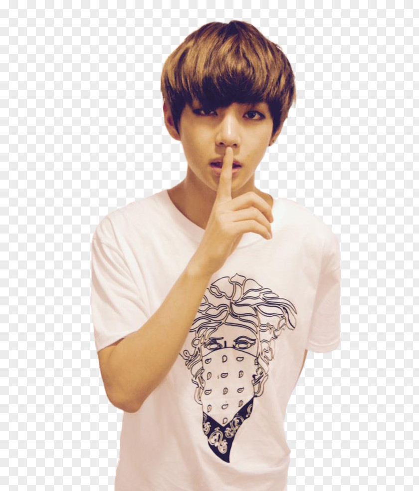 V Kim Taehyung BTS Korean Idol Wings PNG