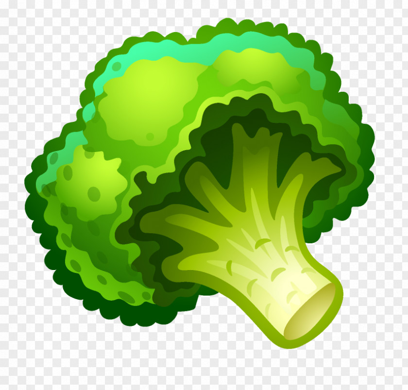 Vegetable Parsley Auglis PNG