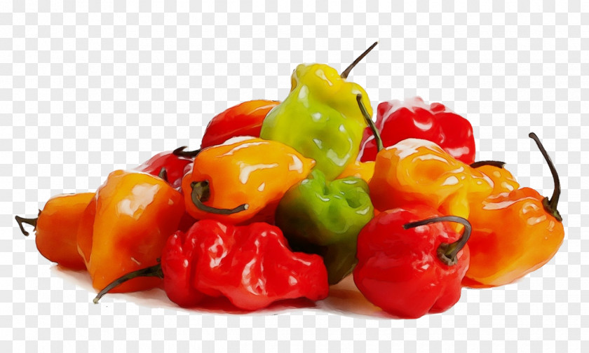 Bell Pepper Yellow Natural Foods Food Habanero Chili Peppers And Plant PNG