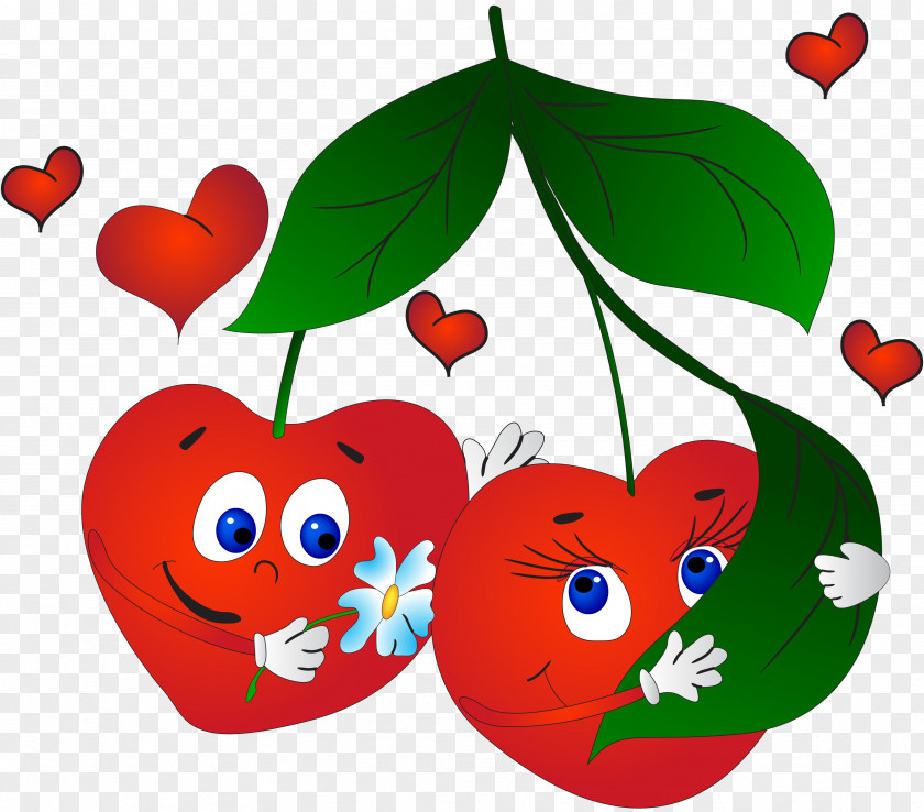 Cherry Fruit Vegetable Cartoon Drawing Clip Art PNG