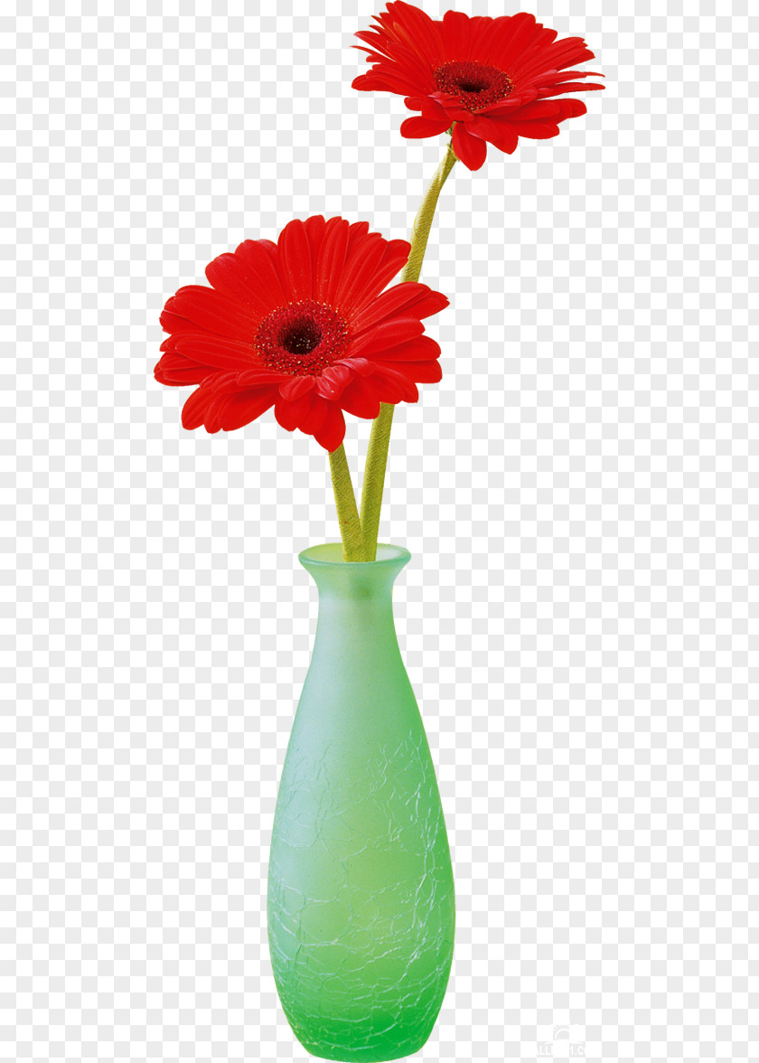 Chrysanthemum Transvaal Daisy Cut Flowers Vase PNG