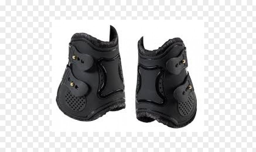 Horse Fetlock Splint Boots Tendon PNG