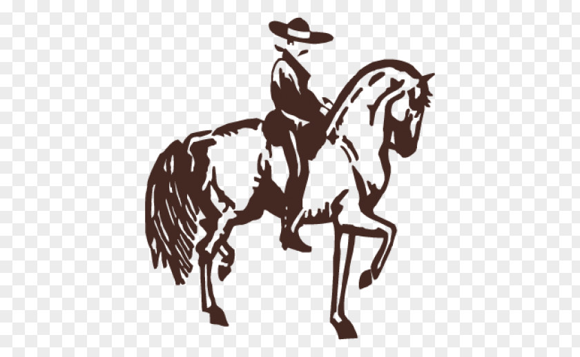 Horse Mule Logo PNG