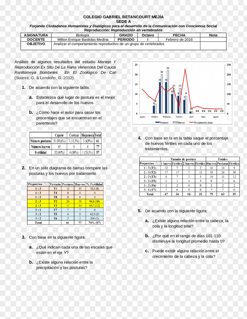 Line Document Angle PNG