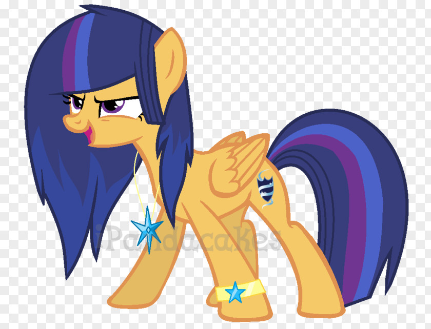 My Little Pony Twilight Sparkle Rarity Sunset Shimmer PNG