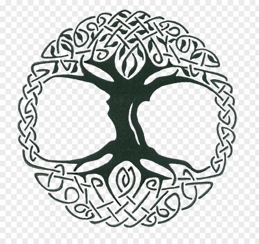 Tree Of Life Tattoo Celtic Knot Celts Sacred Trees PNG