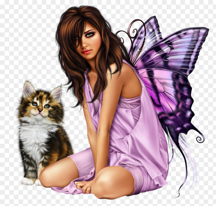 Fairy Kitten Cat Woman The Treachery Of Images PNG