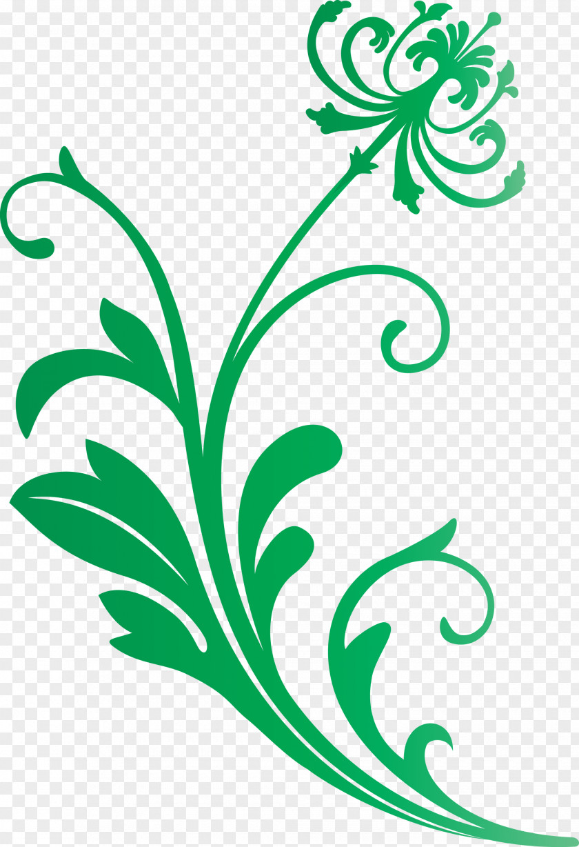 Flower Frame Decoration PNG