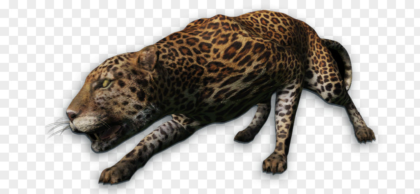 Leopard Far Cry 3 4 Instincts Primal PNG
