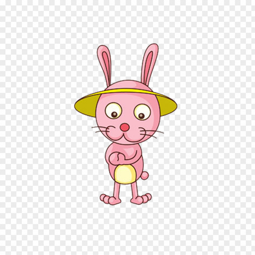 Pink Hat Bunny Cartoon Easter Rabbit The Silly Book Leporids Clip Art PNG