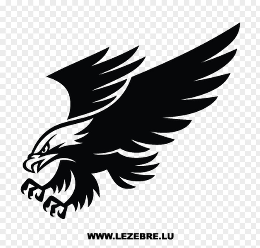 Car Decal Sticker Window Eagle PNG