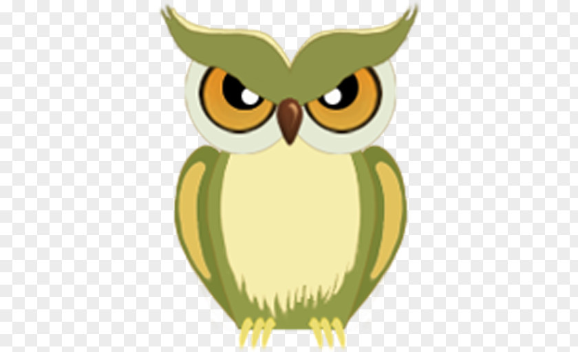 Owl Clip Art Illustration Green Beak PNG