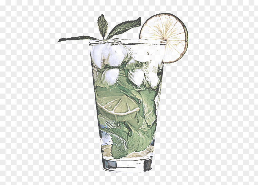 Anthurium Distilled Beverage Highball Glass Cocktail Garnish Drink Plant Non-alcoholic PNG