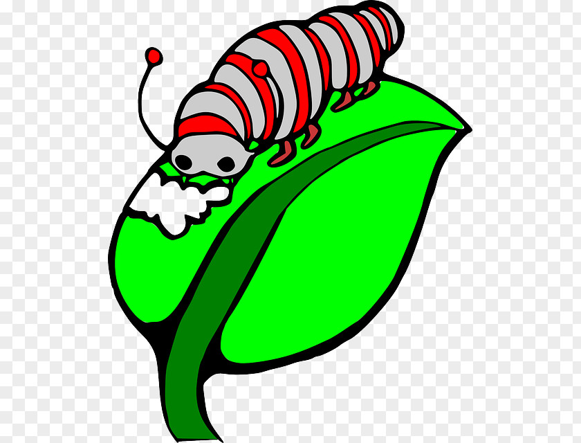 Caterpillar Butterfly Clip Art PNG