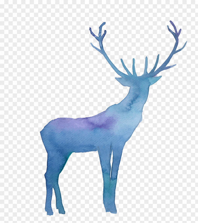 Deer Moose Elk Watercolor Painting PNG