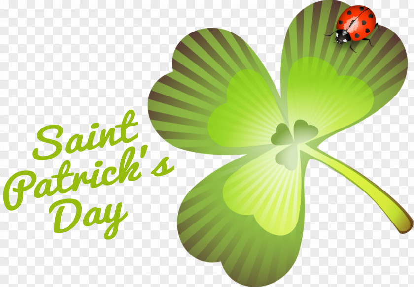 Flower Leaf Green Petal Font PNG